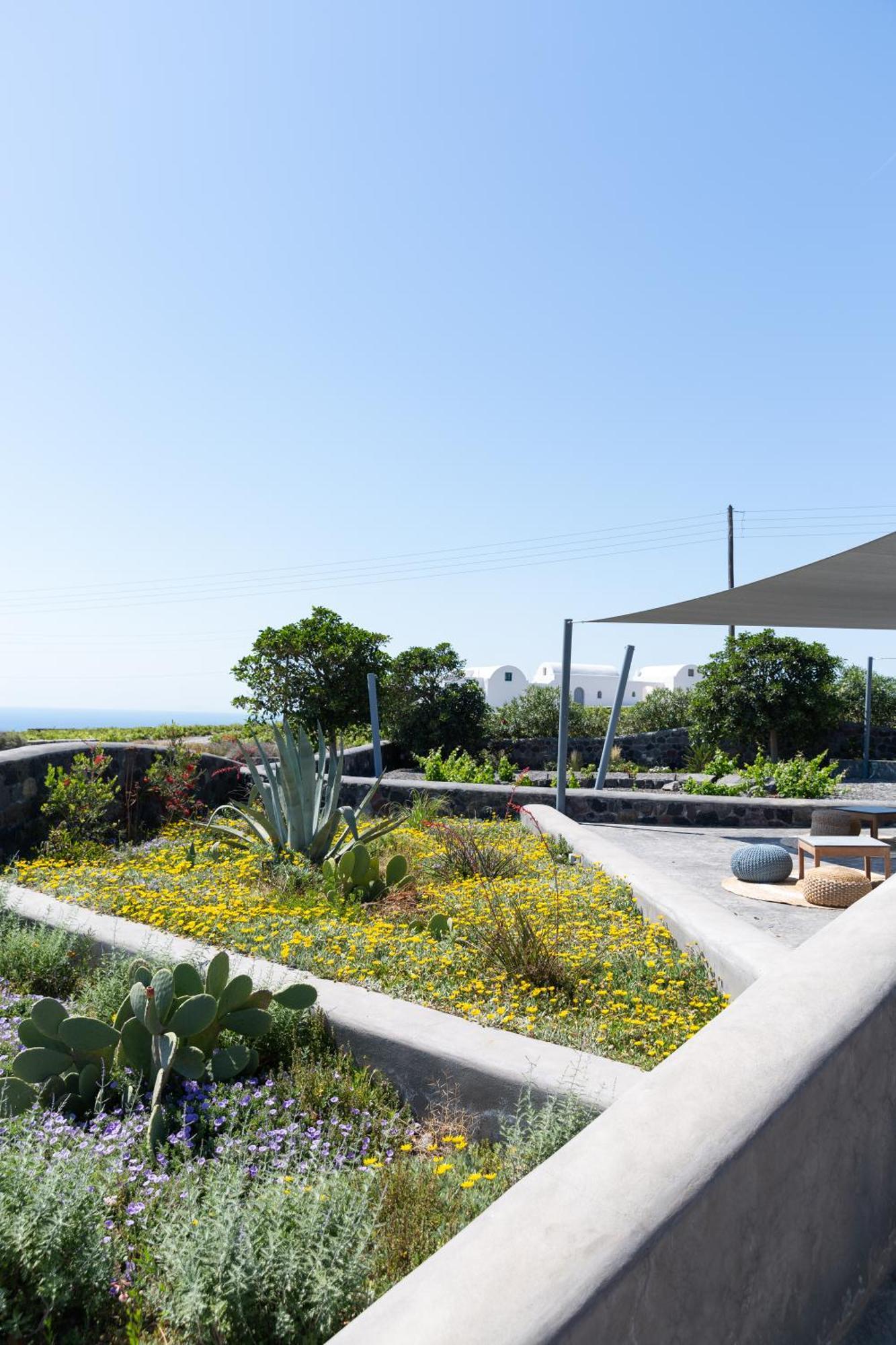 Soil Of Sun Luxury Villas Megalochori  Exterior photo