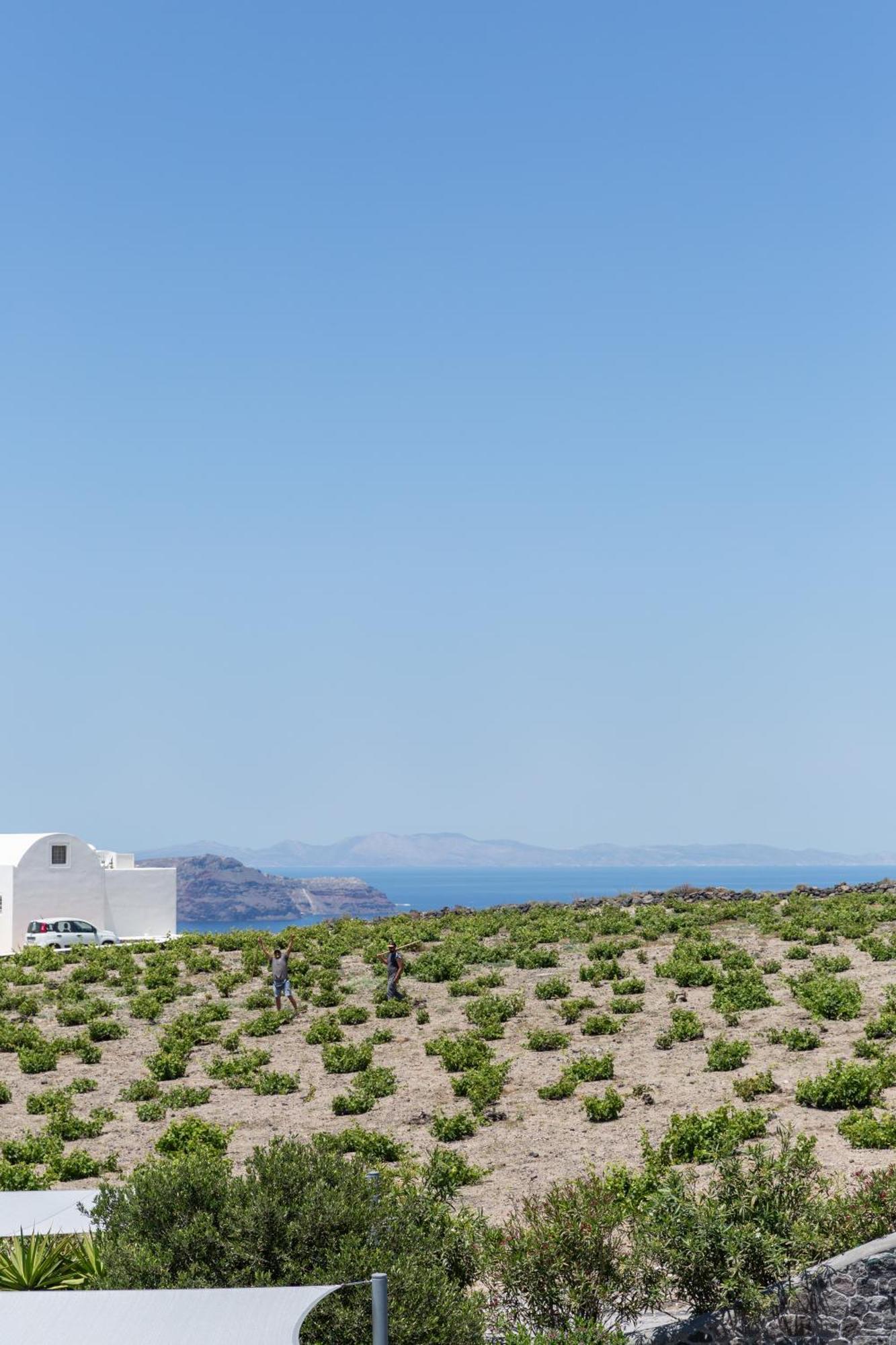 Soil Of Sun Luxury Villas Megalochori  Exterior photo