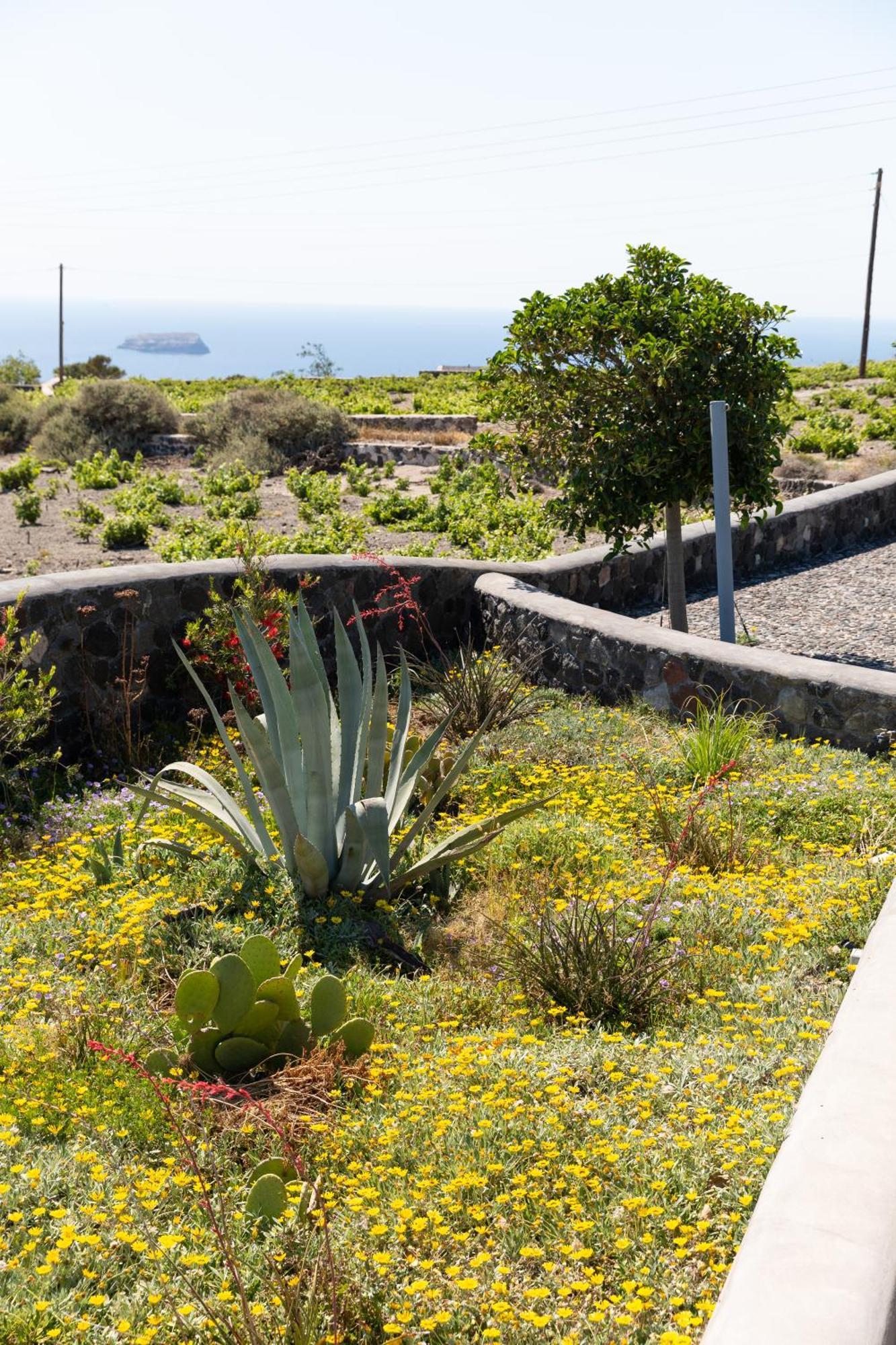 Soil Of Sun Luxury Villas Megalochori  Exterior photo